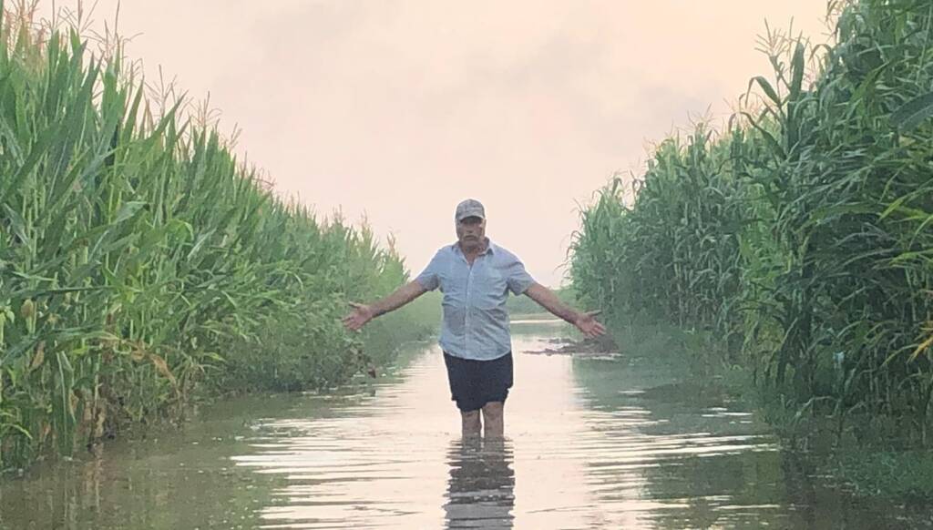 Suruç’ta 5 bin dönüm tarım arazisi sular altında kaldı