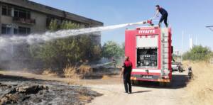 Şanlıurfa’da Lastikleri ateşe veren çocuklar ağaçları yaktı