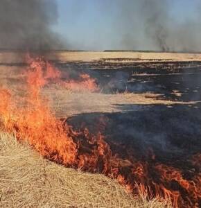 Mahmut Tanal’dan şok iddia