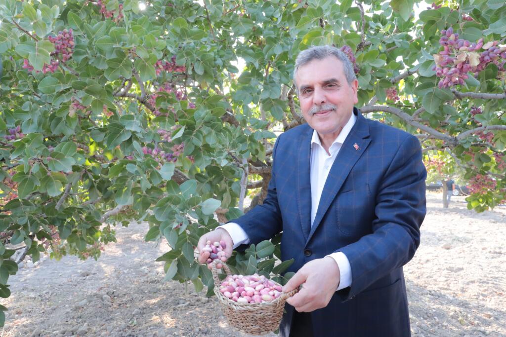 URFA FISTIĞI HASADI BAŞLADI