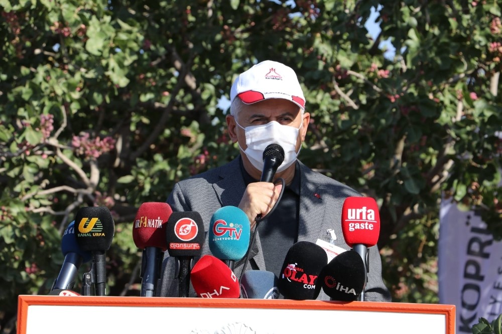 Binali Yıldırım Şanlıurfa’da fıstık topladı