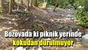 Bozova’daki piknik yerinde kokudan durulmuyor