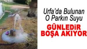 Urfa Bulunan O Parkın Suyu Günlerdir Boşa Akıyor