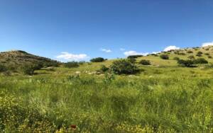 Şanlıurfa Bozkır Koruma Strateji ve Eylem Planı