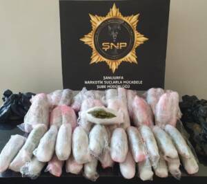 Şanlıurfa’da Aracın altına gizlenen uyuşturucuyu narkotik köpeği buldu