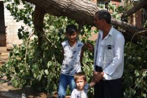 Siverek’te fırtına ağaçları kökünden söktü