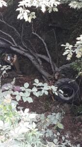 Traktör dereye uçtu : 1 ölü, 1 yaralı