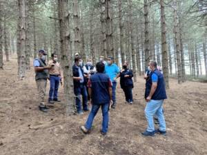 Şanlıurfa Orman Bölge Müdürlüğü seyreltme çalışmalarına devam ediyor