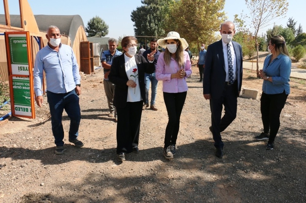 Ak Parti MKYK üyesi Polat Akçakale’de