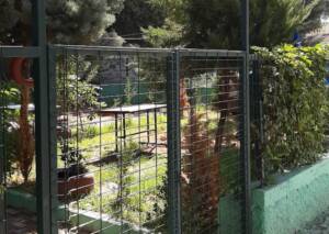 Akçakale’de korona virüs denetimlerinde 3 işyerine ceza