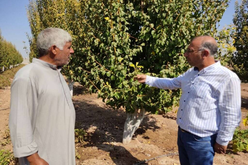 Barış Pınarı Bölgesinde tarım ve hayvancılıkla uğraşanlara destek veriliyor