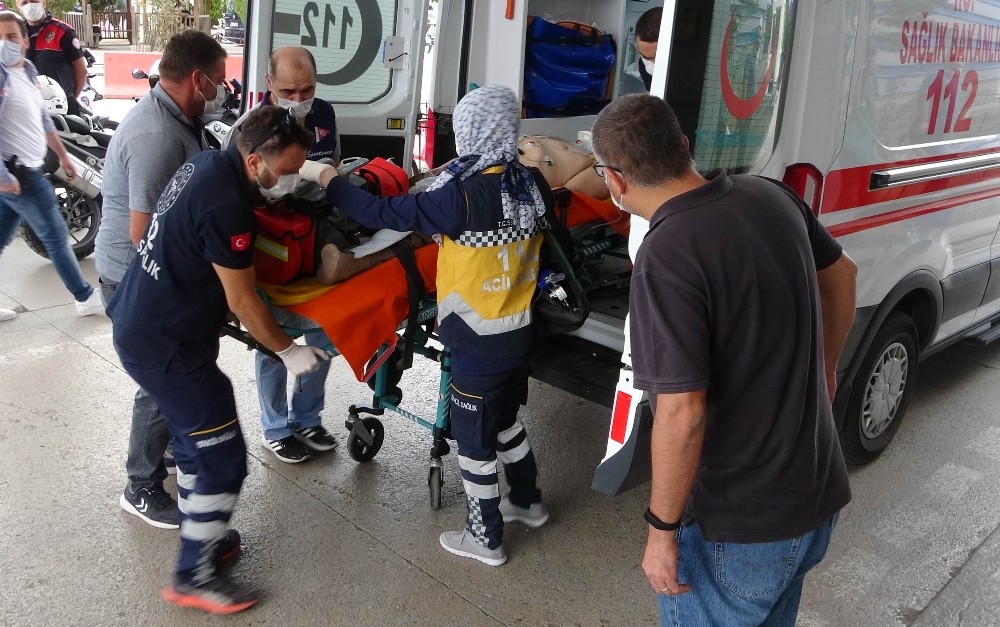 Ceviz ağacından düşen yaşlı adam hayatını kaybetti