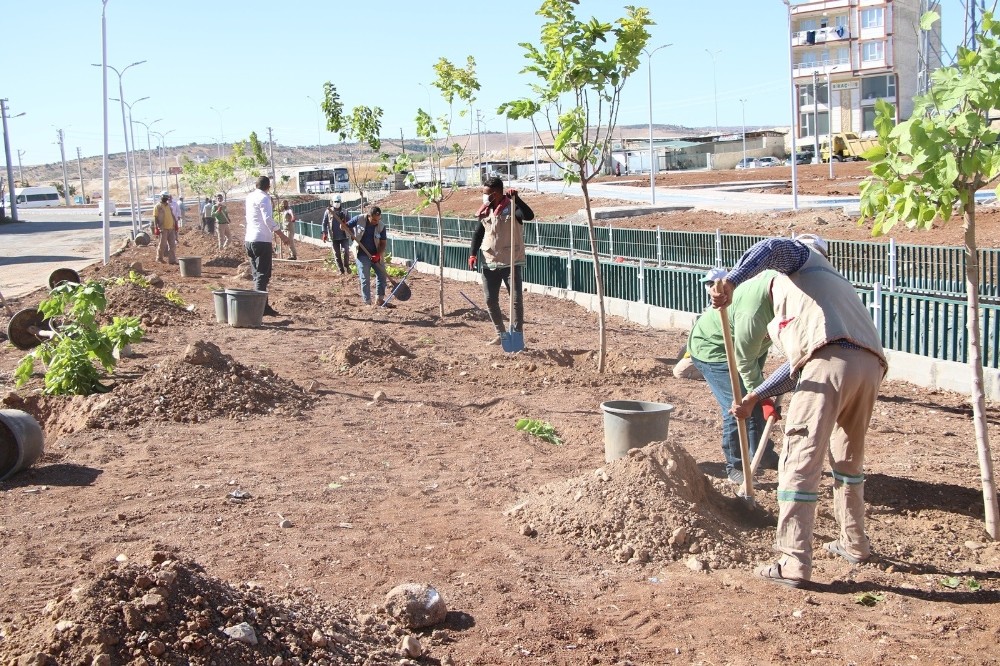 Haliliye’de temizlik çalışmaları devam ediyor