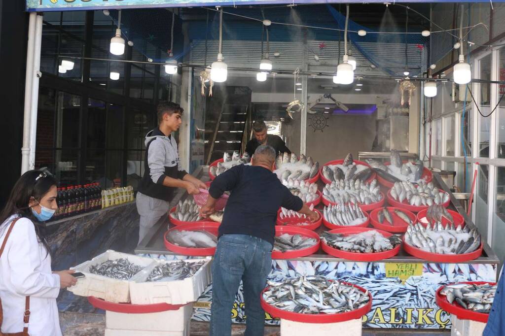Şanlıurfa’da havaların soğumasıyla birlikte balık satışları başladı