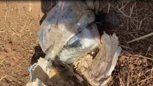 Şanlıurfa’da bomba düzeneği bulundu