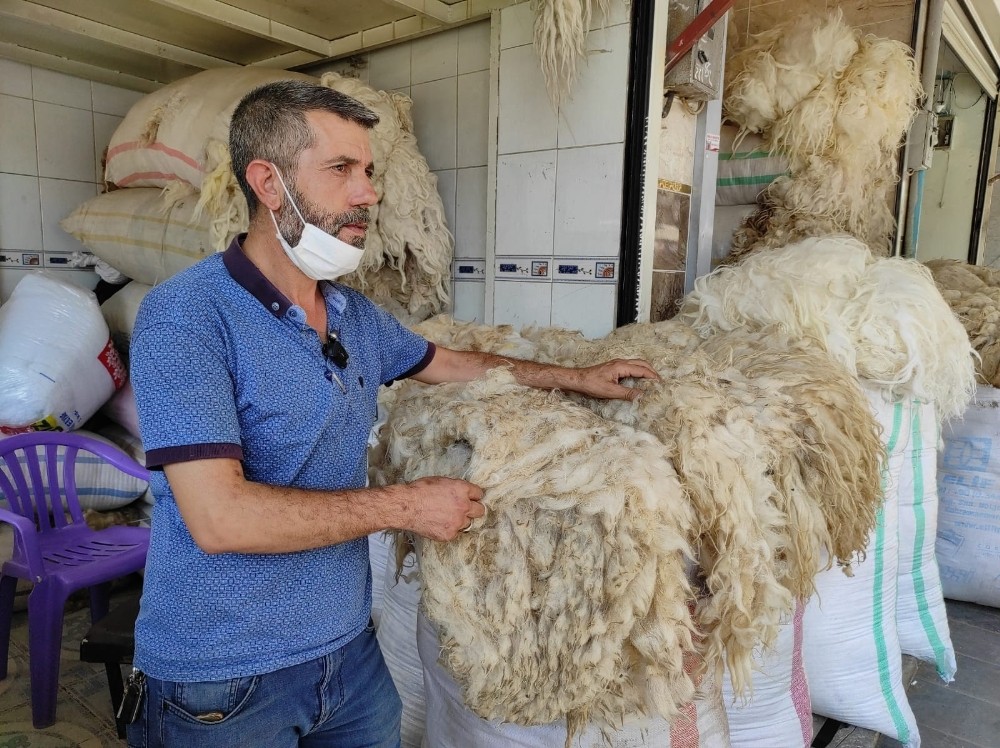 Şanlıurfa’da Eskiden fiyatı tereyağı ile yarışan koyun yünleri elde kaldı