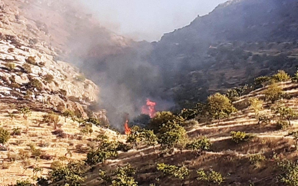 Şanlıurfa’da Fıstık tarlasında çıkan yangın söndürüldü