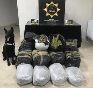 Şanlıurfa’da Uyuşturucu operasyonunda 135 kilogram esrar ele geçirildi