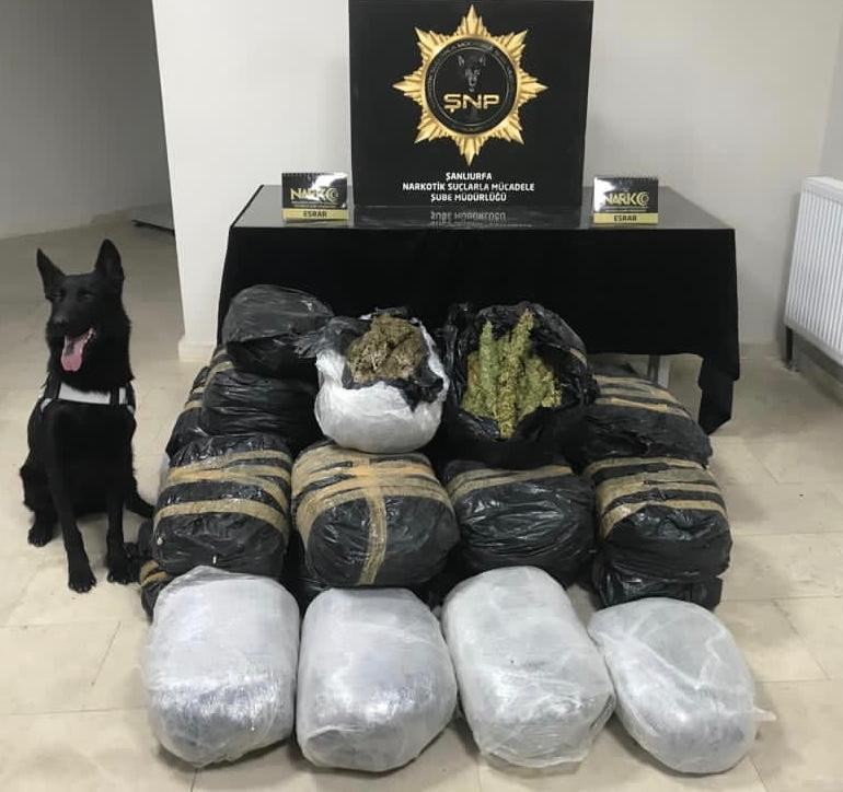 Şanlıurfa’da Uyuşturucu operasyonunda 135 kilogram esrar ele geçirildi