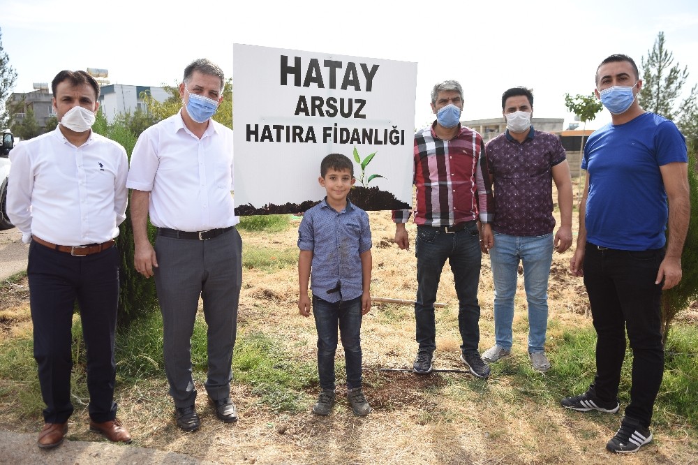 Siverek’te Hatay için hatıra fidanlığı