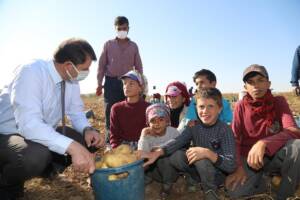 Urfalı Tarım işçisi çocuklar için çadırda eğitim