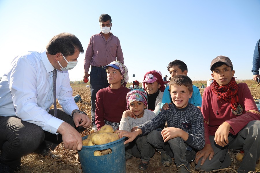 Urfalı Tarım işçisi çocuklar için çadırda eğitim
