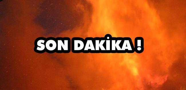 Şanlıurfa’da Su kenarında parçalanmış ceset bulundu