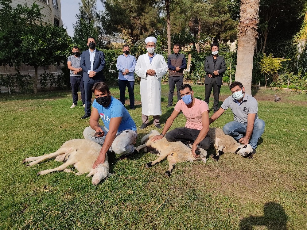 Bakan Soylu ve ailesi için Şanlıurfa’da 3 koyun kesildi