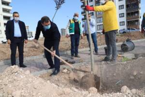 Başkan Baydilli park çalışmalarını inceledi