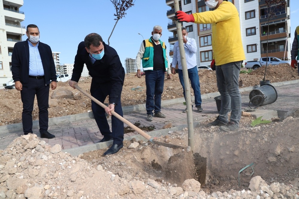 Başkan Baydilli park çalışmalarını inceledi