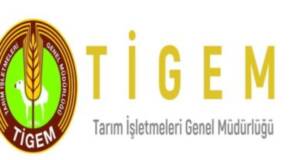 Ceylanpınar TİGEM’de daimi ve geçici işçilerin kura sonucu açıklandı