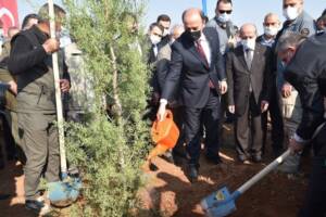 Şanlıurfa’da binlerce fidan toprakla buluştu