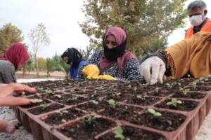 Şanlıurfa’da çiçek üretimi hız kazandı
