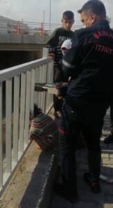 Şanlıurfa’da Kafası demir korkuluklara sıkıştı