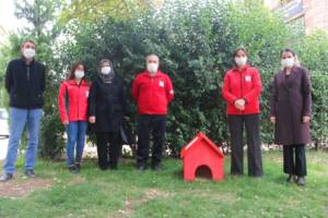 Şanlıurfa’da Sokakta üşüyen hayvanlar için barınaklar yaptılar