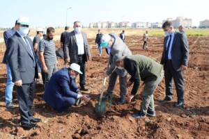 Viranşehir’de bin fidan toprakla buluştu