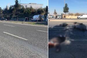 Şanlıurfa’daki kavganın dehşete düşüren görüntüleri ortaya çıktı