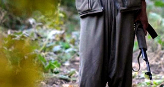 Şanlıurfa’da 2 terörist silah ve mühimmatlarıyla birlikte teslim oldu