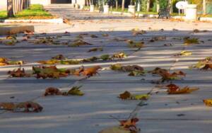 Şanlıurfa’da Cadde ve sokaklar sessiz kalınca kartpostallık görüntüler oluştu