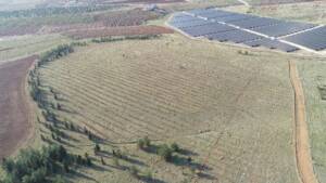 Şanlıurfa’da evlenen çiftler için fidan dikim etkinliği