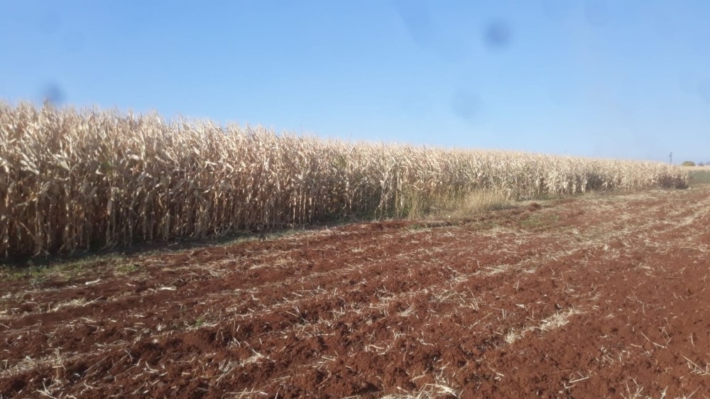 Şanlıurfa’da Mısır tarlasında alevlerin arasında kalan çocuk öldü