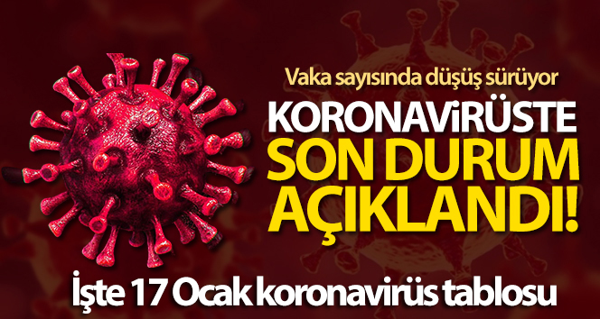 Türkiye’de Coronavirus kaynaklı günlük can kaybı ve vaka sayısında düşüş sürüyor