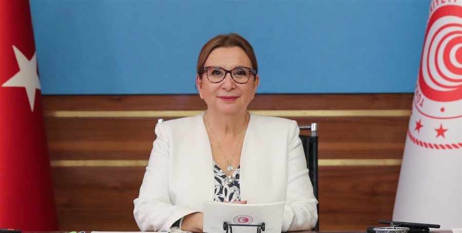 Pekcan, esnaf ve sanatkarlara sağlanan destekler için başvuru süresini uzattıklarını açıkladı