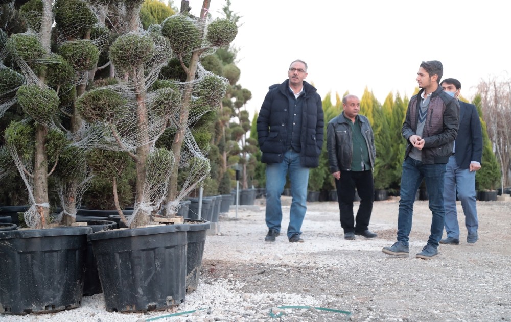 Eyyübiye’de yeni parklara yeni fidanlar