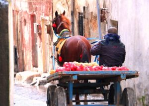 Şanlıurfa’da 40 yıldır at üstünde çalışıyor