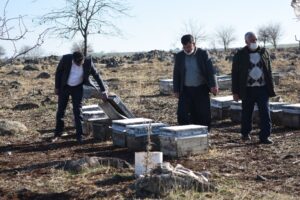 Şanlıurfa’da Bal fiyatlarındaki artış arıcıların yüzünü güldürdü