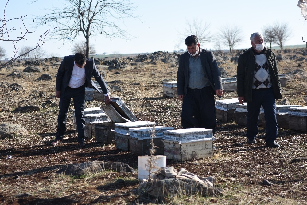 Şanlıurfa’da Bal fiyatlarındaki artış arıcıların yüzünü güldürdü