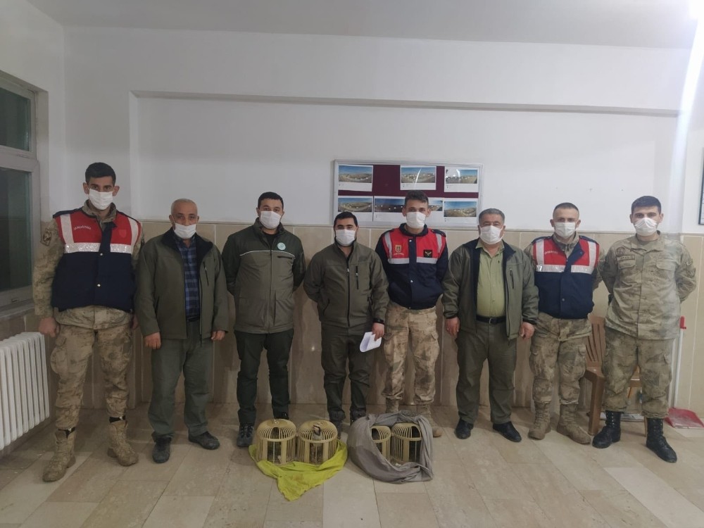 Şanlıurfa’da kaçak avlanan 7 kişi yakalandı