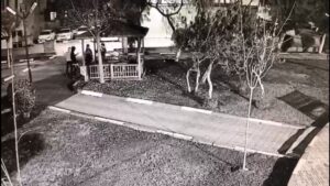 Şanlıurfa’da Kamelyayı kıran kişilere belediye: “Kalbimizi kırdınız”