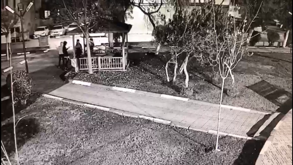 Şanlıurfa’da Kamelyayı kıran kişilere belediye: “Kalbimizi kırdınız”